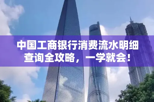 中国工商银行消费流水明细查询全攻略，一学就会！