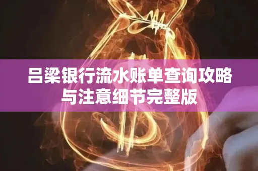 吕梁银行流水账单查询攻略与注意细节完整版