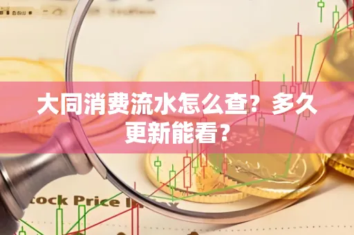 大同消费流水怎么查？多久更新能看？
